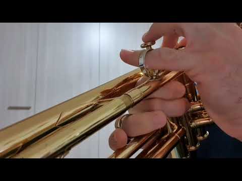 Andrea Sabatino studio