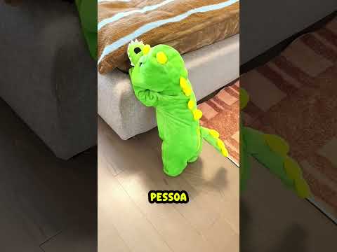 Ela colocou a mesma roupa no bebê e no cachorro… e acabou se desesperando.😂🥰