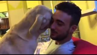 Dog tries to apologize for being bad