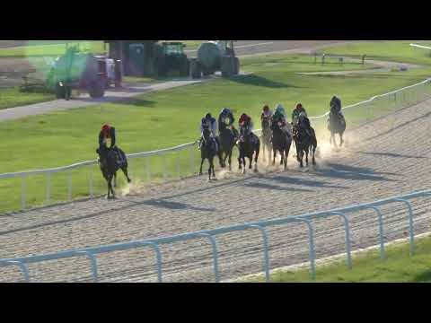 2018.09.09. 09. futam - TÁPIÓSZENTMÁRTONI HENDIKEP (V.o.) (szintetikus pálya)
