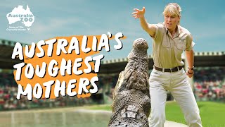 Meet Our Female Crocs!
