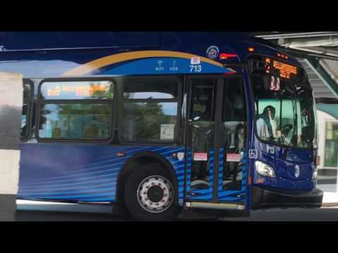 Bx8 and Bx24 Bus Action at Westchester Avenue and Buhre Avenue