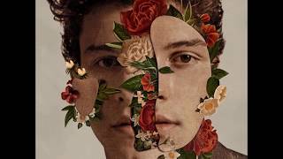Shawn Mendes - Nervous
