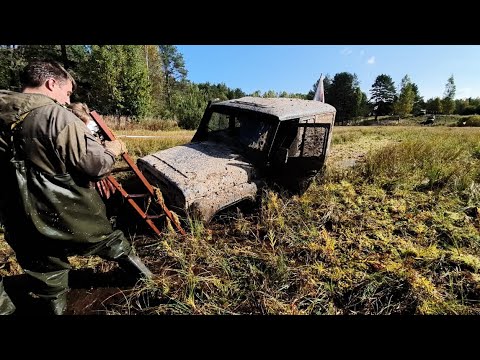 Смотреть видео Смотреть видео