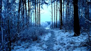 Alucard vs. Team4 - Winter Soul(Original Mix)