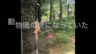 チャンネル登録を勧める動画をマンガチックにやってみた