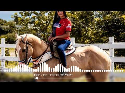 Elson Vaqueiro - Delicada de Mais