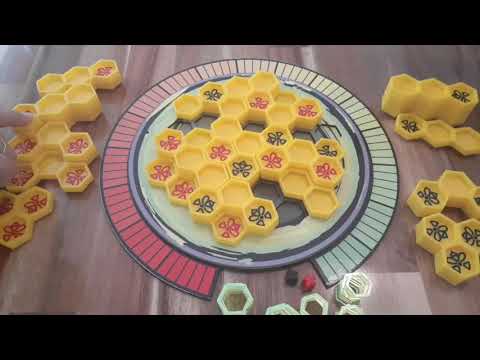 Radioactive Bees' first round explanation