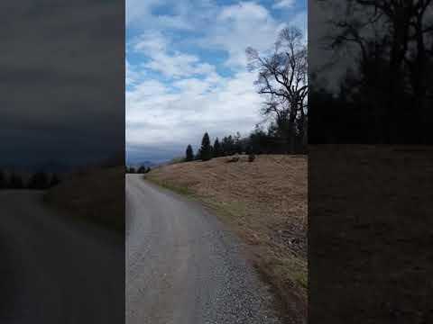 download lagu mp3 mp4 Christmas Tree Farms Near Waynesville Nc, download lagu Christmas Tree Farms Near Waynesville Nc gratis, unduh video klip Christmas Tree Farms Near Waynesville Nc