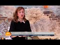 Preti Li Nam Epidemija Morbila