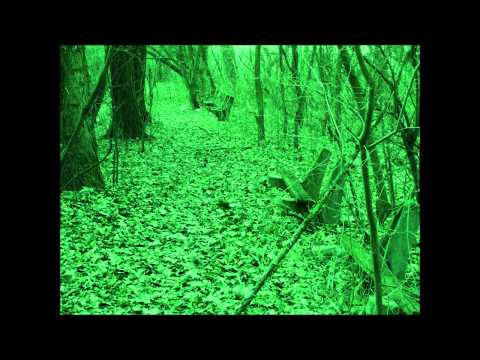 Makové pole - Wolf is a gang