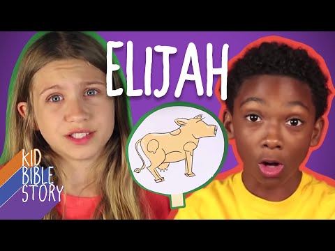 Witness21 Editor  2017 10 05