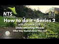 Understanding Weeds: What They Reveal About Your Soil - Episode 15 - How to Do It Series 2