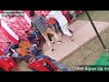 Zila Binor Ke Chhore Chora Bijnor Ka Dance Performance Video