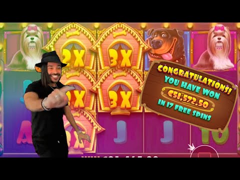 TOP 10 WINS ON THE DOG HOUSE SLOT (2020) - ONLINE CASINO BEST OF #22 🔥