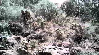 preview picture of video 'Nevada en la sierra de Alhaurin el Grande - 7-2-2015'