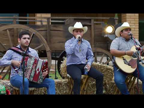 Grupo AG - Vida Ventajosa