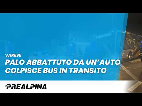 Varese, palo abbattuto centra bus in transito