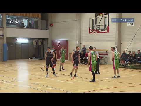 Royal Gallia BC Beez - JBS Maffle