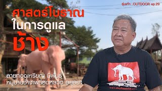 ep.29 ศาสตร์โบราณในการดูแลช้าง : ลายทองเหรียญ มีพันธุ์ [รุ่นเก๋า...OUTDOOR]