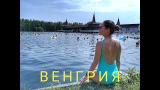 Ссылка