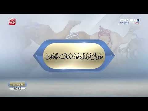 ش 4 (لمحة) لـ الشيخ محمد بن ذياب بن سيف آل نهيان 12:43:0 , مهرجان ولي عهد دبي 2026/1/14 حول