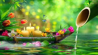 Relax with My Music 🌿 Spa Meditation Sounds to Heal Your Soul & Find Inner Happiness