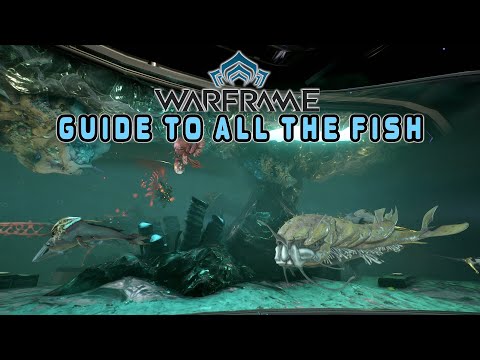 Warframe Fishing Guide - Plains of Eidolon, Fortuna & Cambion Drift - All the Fish & Details