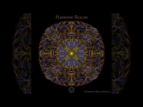 Tactyl - On Stir la Band