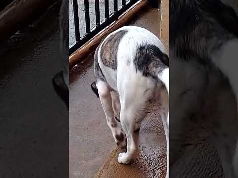 interior maravilhoso,luz minas gerais ❤️❤️🍃