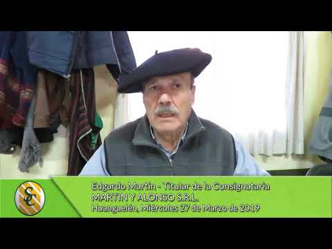 27-03-19 - Edgardo Martin - Titular - Martín y Alonso S.R.L. -  Huanguelén