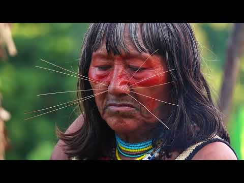 Trailer EXPEDITION AMAZONIA