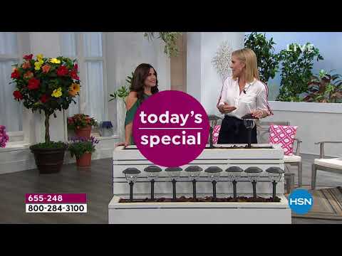 HSN | Lunch Rush 02.22.2019 - 12 PM