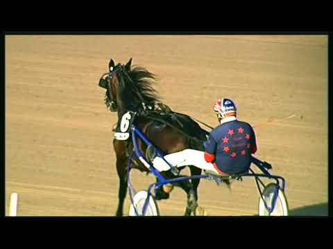 Trotto 30/10/2020 - 6ª corsa