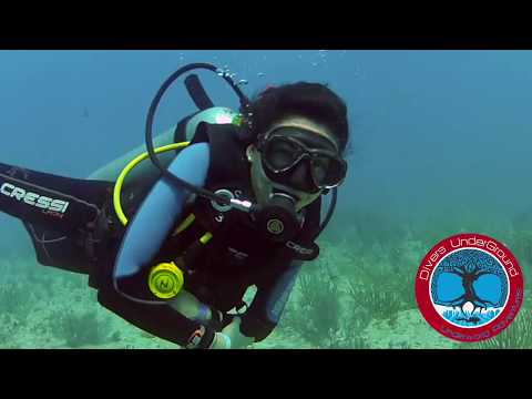 Reef Diving Playa Del Carmen