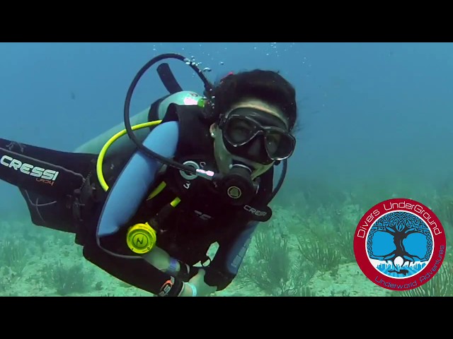 Reef Diving Playa Del Carmen