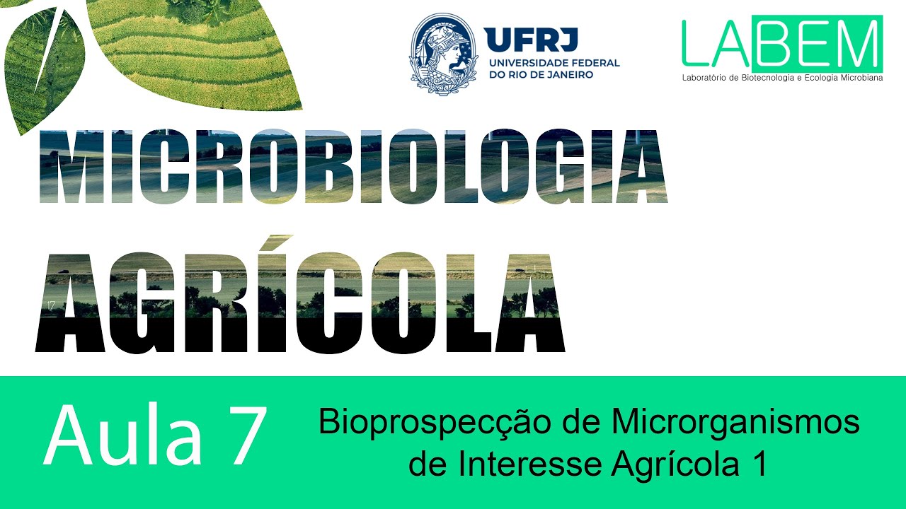 Aula 07 - Bioprospecção de Microrganismos de Interesse agrícola 1 - Prof Caio Rachid