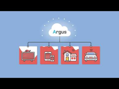 Argus, an Intelligent Hacking Detection System