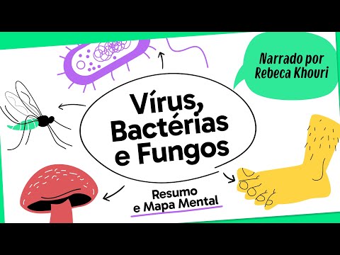 VIRUSES, BACTERIA AND FUNGI | BIOLOGY | Mind Map | Want Me to Draw