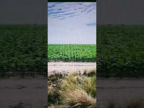 Video de WhatsApp 2025 11 01 a las 09 22 36 aaa90eeb