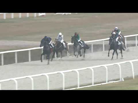 2021.11.21. 03. futam - NYERETLEN KÉTÉVESEK VERSENYE (IV.kat.) II. rész (szintetikus pálya)