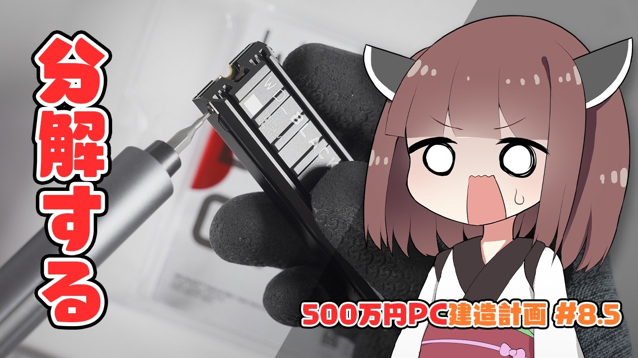 【500万円PC建造計画 #8.5】45万円のSSDを改造しよう(恐怖)【自作PC】