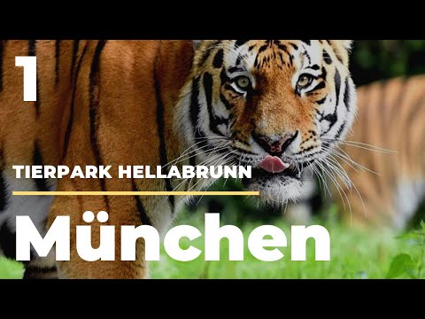 Deine.München.Tour - Tierpark Hellabrunn