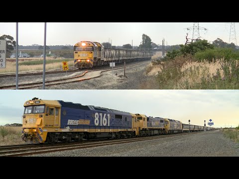 7736V Pacific National Grain Train At Gheringhap Loop (6/1/2022) - PoathTV Australian Railways