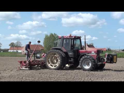 Loonw. Ripatrac - Koekelare - Case International 956 XL - Gilles