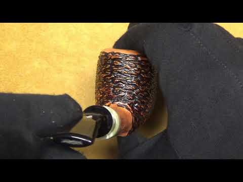 Pipa Santambrogio rusticata  major - Freeform (SS46)