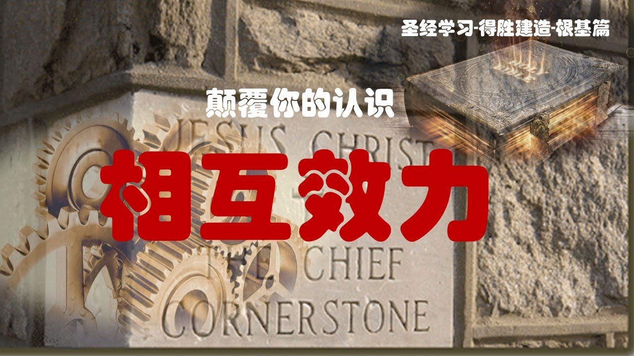 得胜建造-根基篇：什么是相互效力？颠覆你以往的认识！