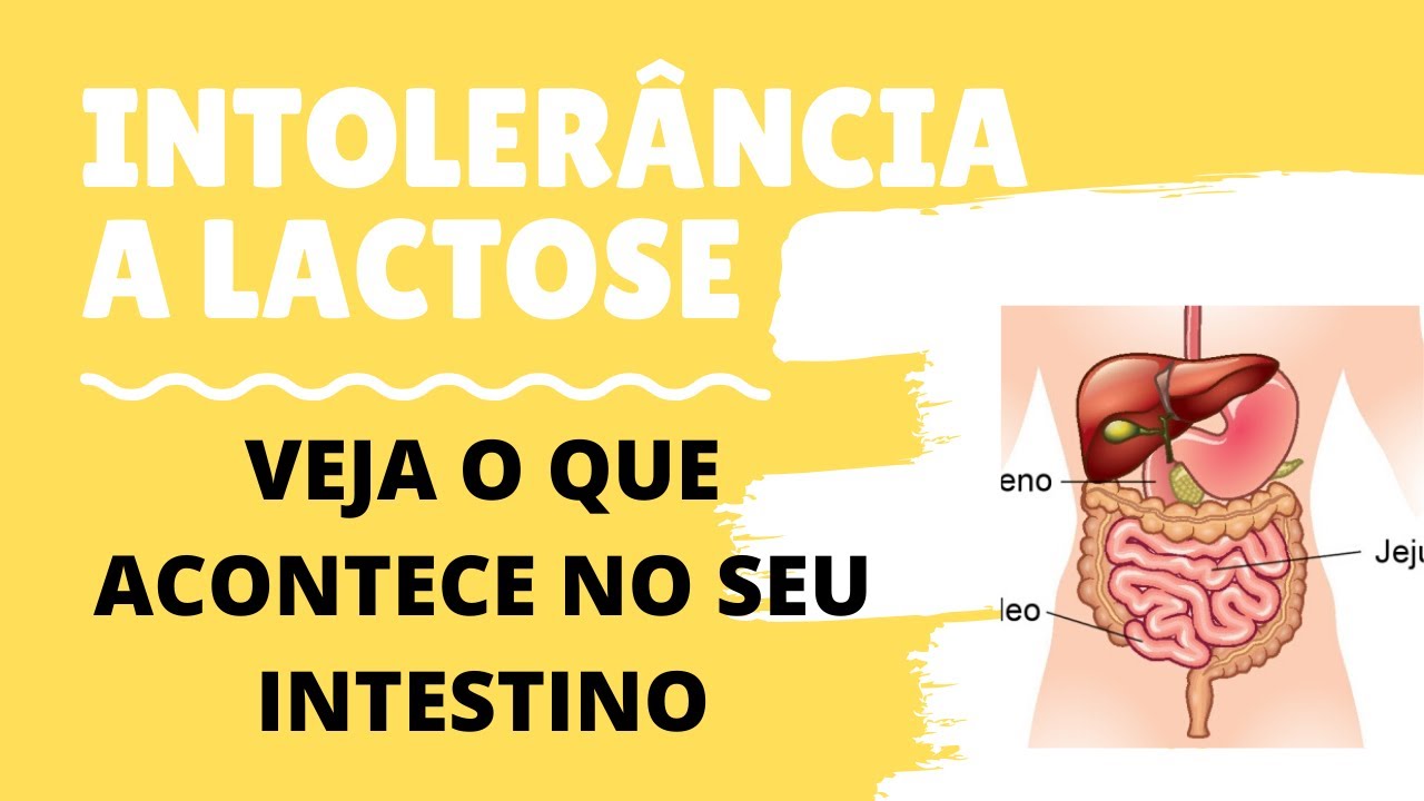 O que é a Intolerância à Lactose e o que acontece no seu corpo.