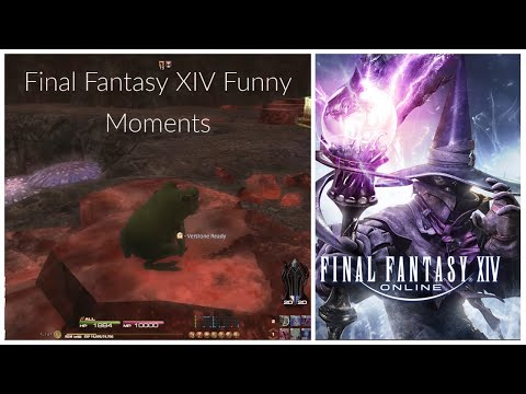 Some MMO shenanigans | Final Fantasy XIV Funny Moments