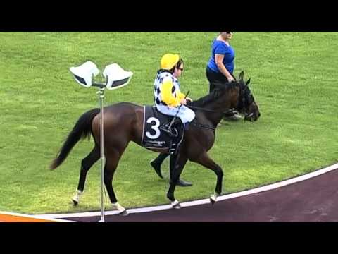 Ascot, 23/12/2015 - Race 2 - WHO DAT SINGA - Alan Mathews & Patrick Carbery